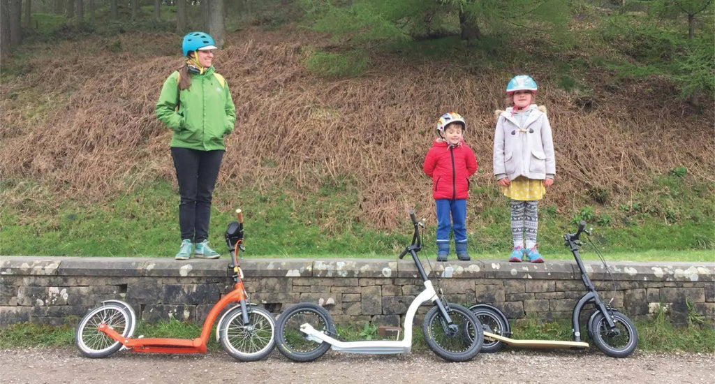 adult scooter, kids scooter, scooters for family, kick scooter